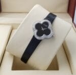 ⁦فان كليف⁩ - الصورة ⁦17⁩