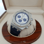 ⁦اوديمار بيغيه ربل كونغراف⁩ - الصورة ⁦5⁩