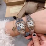 كارتير بانثر - الصورة 6
