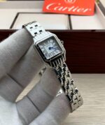 كارتير بانثر