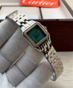 ⁦كارتير بانثر⁩ - الصورة ⁦2⁩