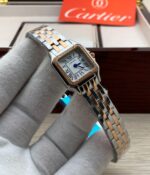 كارتير بانثر - الصورة 7