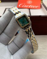 ⁦كارتير بانثر⁩ - الصورة ⁦5⁩