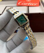 ⁦كارتير بانثر⁩ - الصورة ⁦4⁩