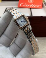 كارتير بانثر - الصورة 5