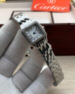 كارتير بانثر - الصورة 3