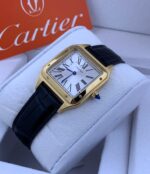 كارتير سانتوس دايمون