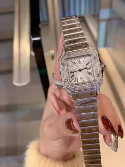 سانتوس دي كارتير بانثر