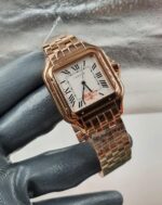 ⁦كارتير بانثر-37⁩ - الصورة ⁦5⁩