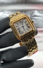 ⁦كارتير بانثر-37⁩ - الصورة ⁦4⁩