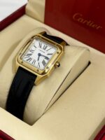 كارتير سانتوس دايمون - الصورة 16