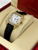 كارتير سانتوس دايمون - الصورة 5