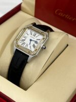 كارتير سانتوس دايمون - الصورة 4