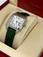 كارتير سانتوس دايمون - الصورة 13