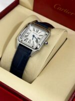 كارتير سانتوس دايمون - الصورة 11