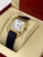 كارتير سانتوس دايمون - الصورة 10