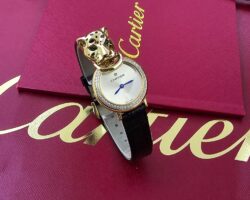 احدث موديل من كارتير