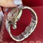 كارتير باشاء - الصورة 9