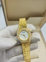 ⁦شوبارد⁩ - الصورة ⁦9⁩