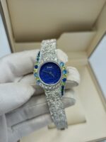 ⁦شوبارد⁩ - الصورة ⁦8⁩